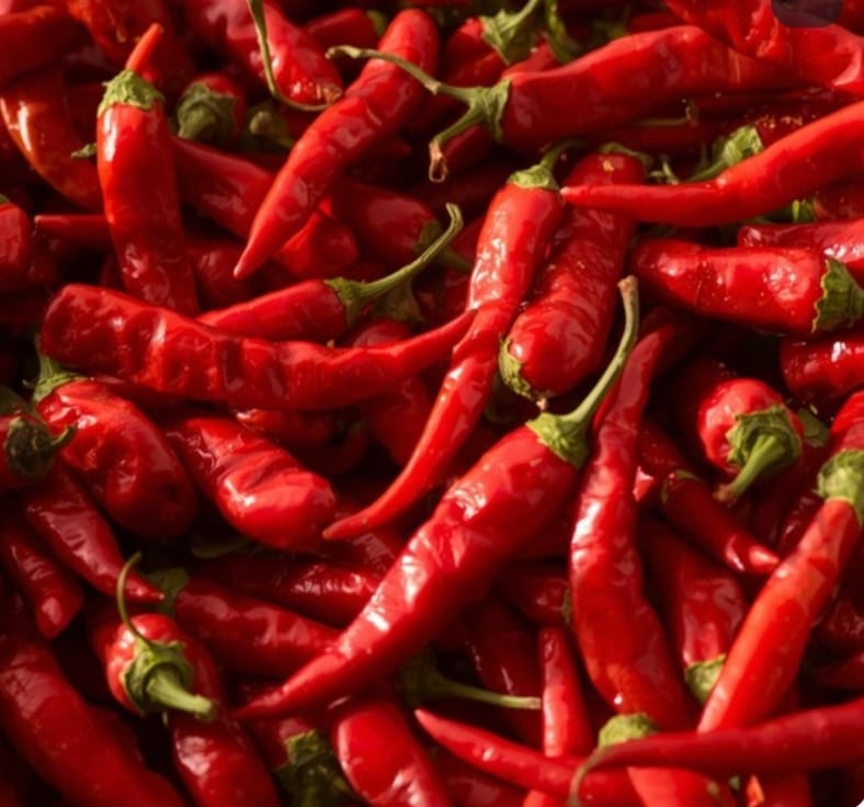 Hybrid Chilli whole/hybrid mirch sabut 200g
