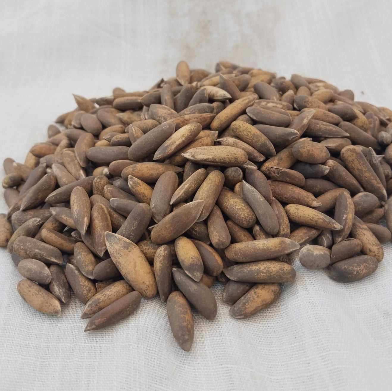 Premium Pine Nuts/Chilghoza200g