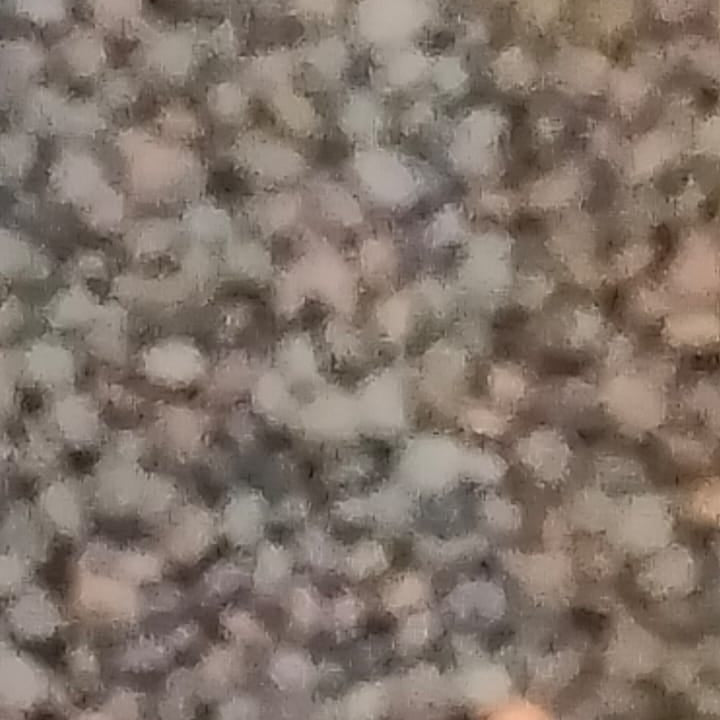 Premium Quality Lentils  masoor Whole / Desi Masoor Dal sabut 1/2kg