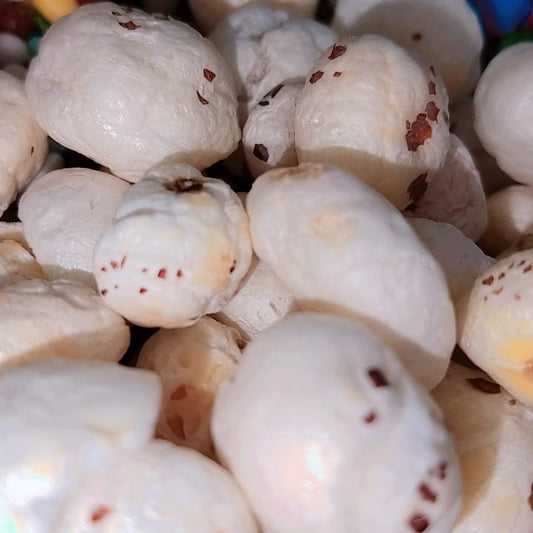 Fox Nut / Phool Makhanay 200g