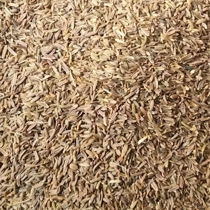 Shahi Cumin Seeds / Black Zeera 50g