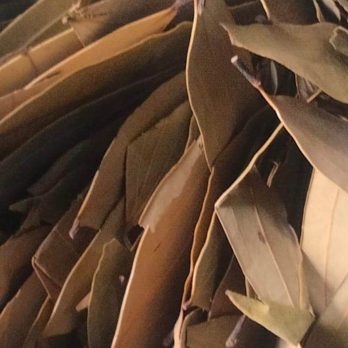 Bay Leaves /Tez Patta