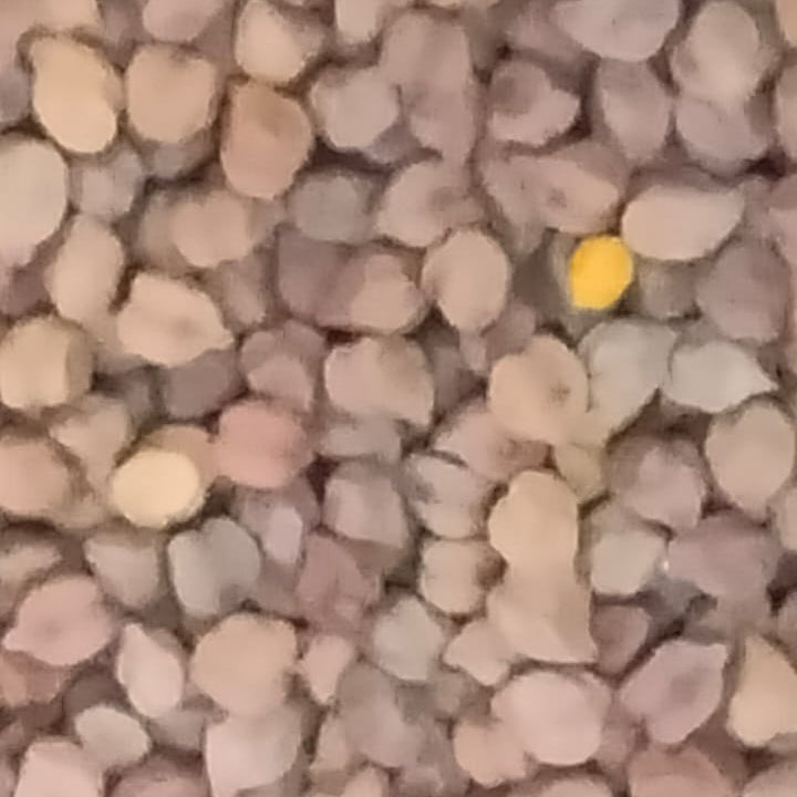 Premium  Black Chickpeas / Desi Kala Chana 1/2kg