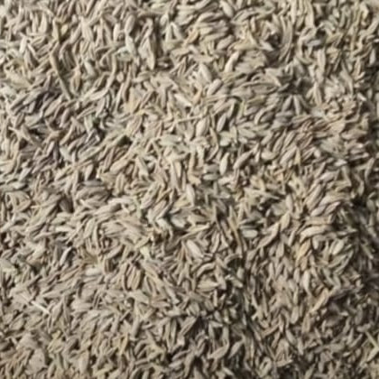 Cumin Seeds /Zeera 50g