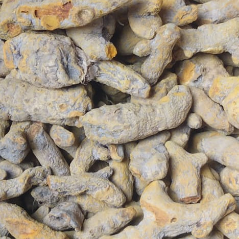 Pure Turmeric whole / Huldi sabut Changa Manga Special 200g